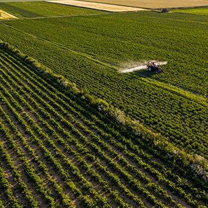 農(nóng)業(yè)大棚溫濕度監(jiān)控系統(tǒng)的升級方案有幾種呢？